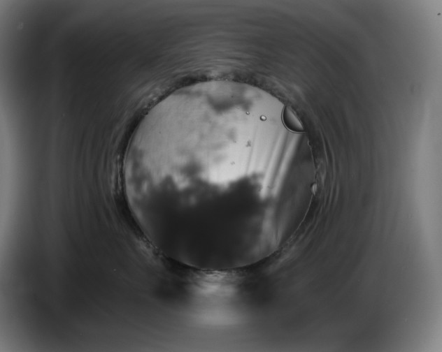 X0000087410527200705041250