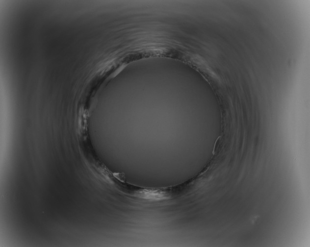 X0000087410528200705041250