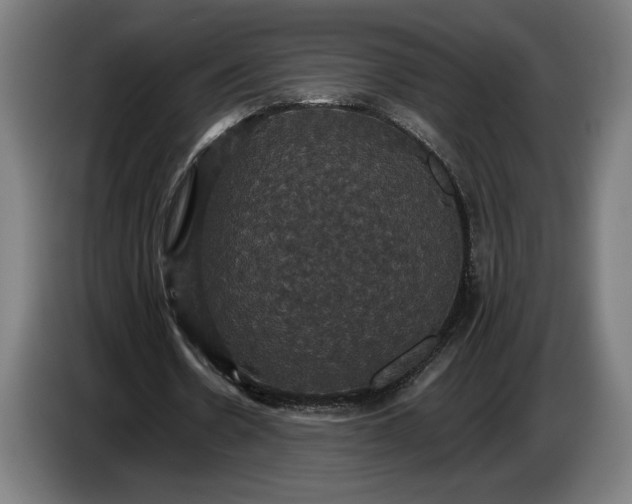 X0000087410530200705041250