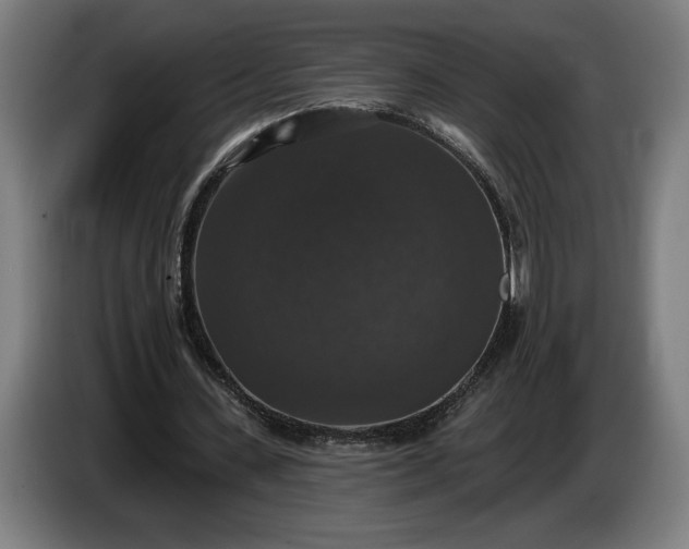 X0000087410531200705041250