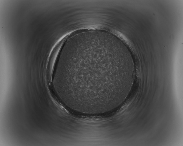 X0000087410532200705041250