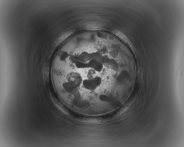 X0000087410533200705041250