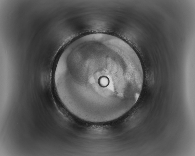 X0000087410534200705041250