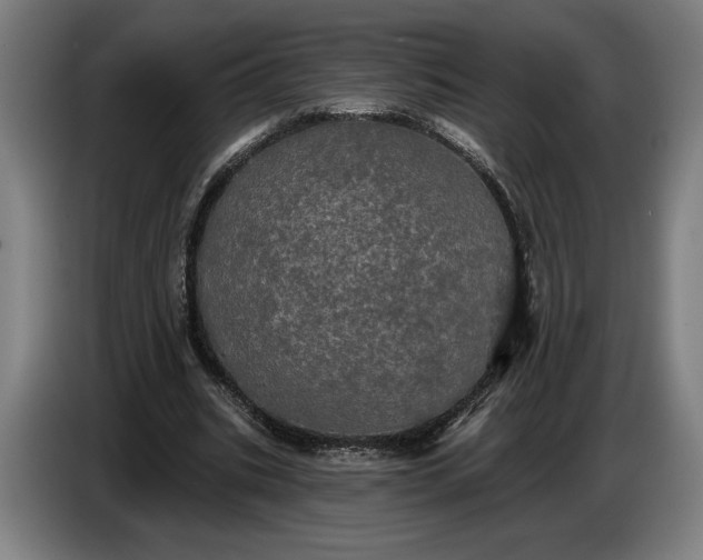 X0000087410535200705041250