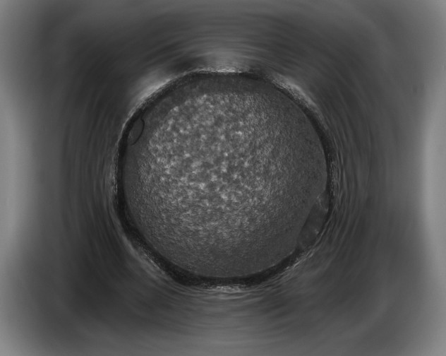 X0000087410536200705041250