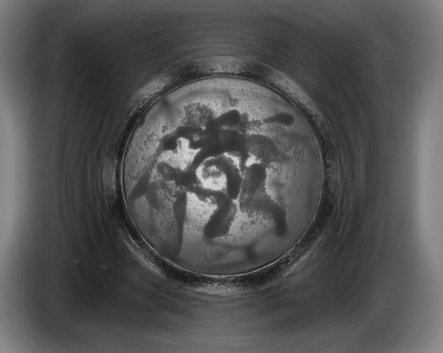 X0000087410537200705041250