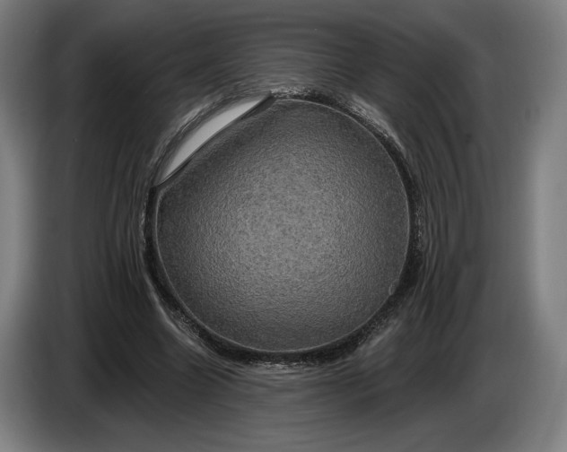 X0000087410538200705041250