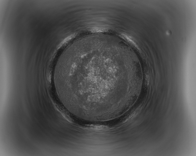 X0000087410539200705041250