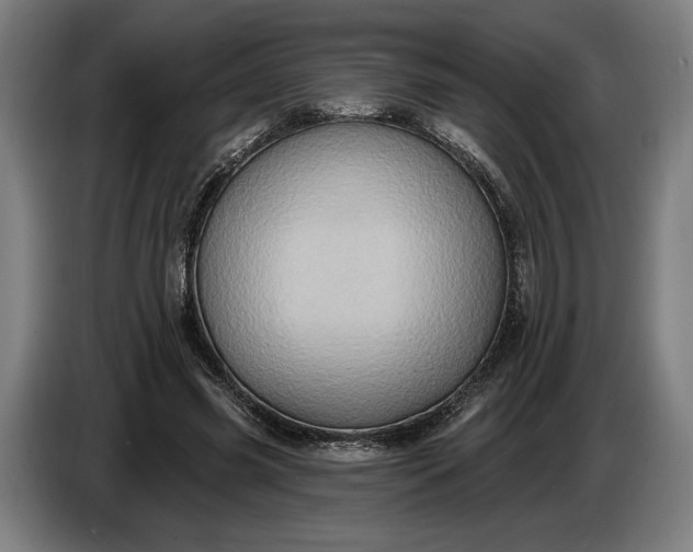 X0000087410541200705041250