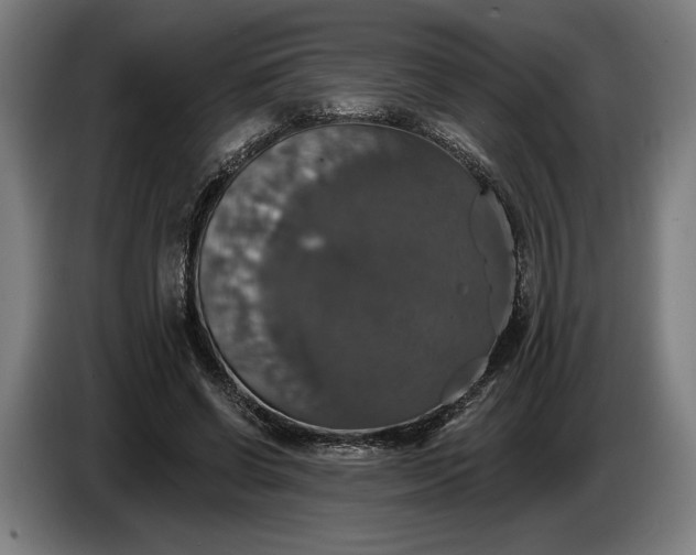 X0000087410542200705041250