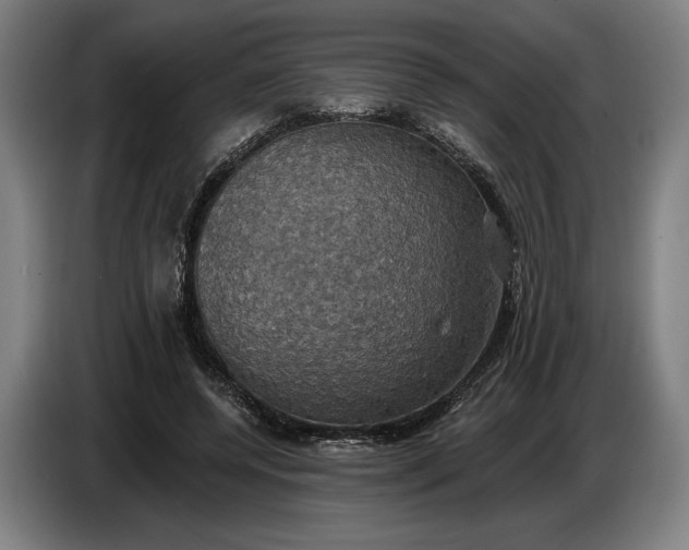 X0000087410544200705041250