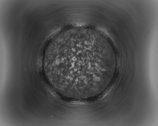 X0000087410545200705041250