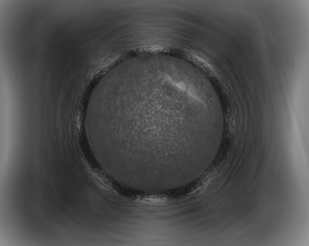 X0000087410546200705041250