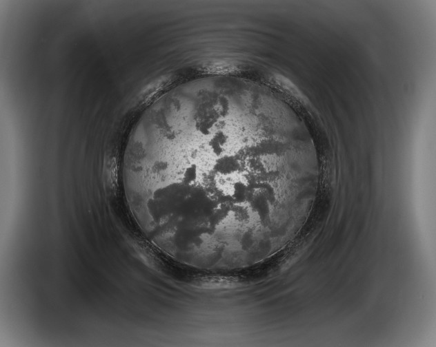 X0000087410549200705041250