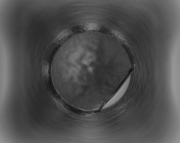 X0000087410550200705041250