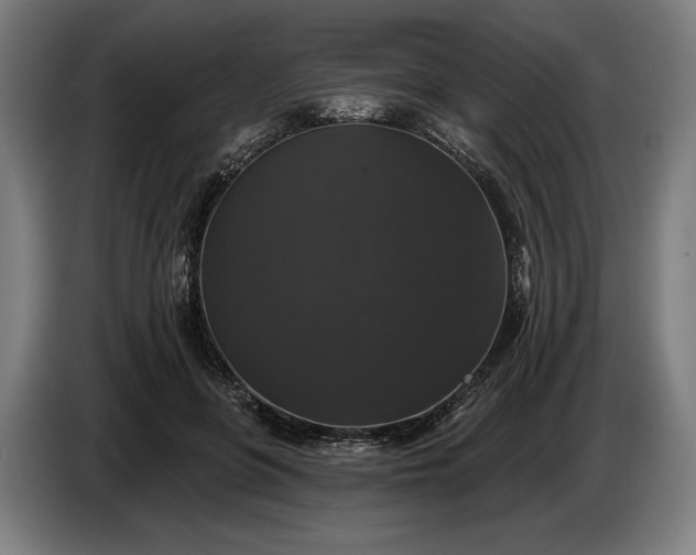 X0000087410551200705041250