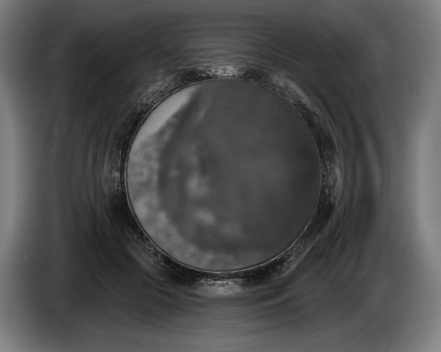 X0000087410553200705041250