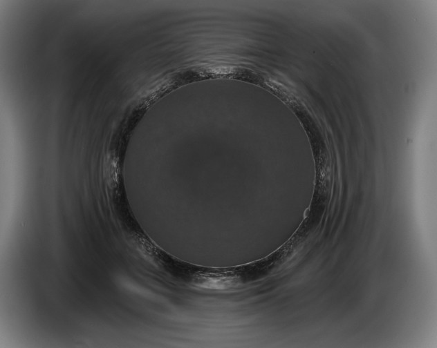 X0000087410555200705041250