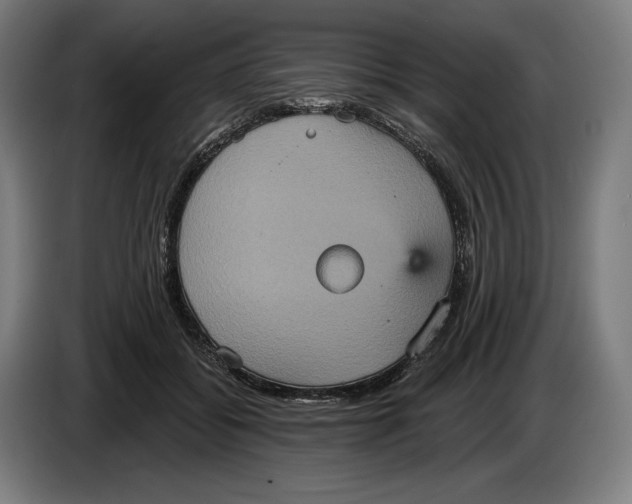 X0000087410556200705041250