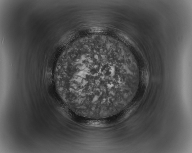 X0000087410557200705041250