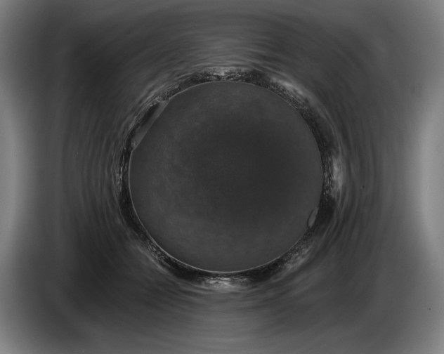 X0000087410558200705041250