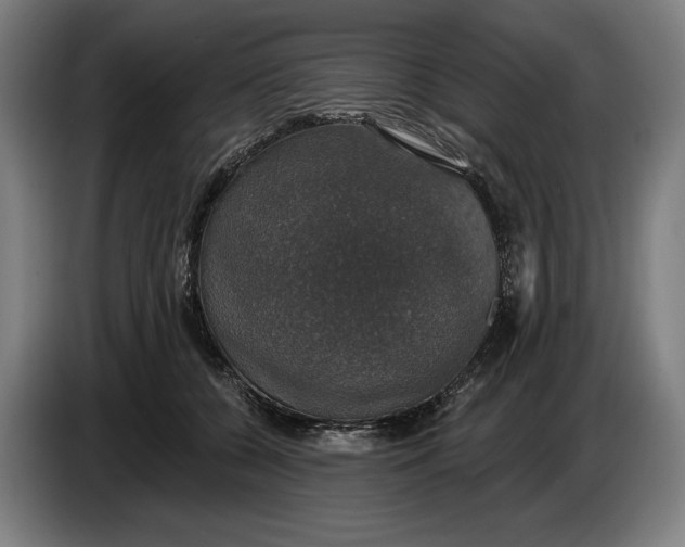 X0000087410560200705041250