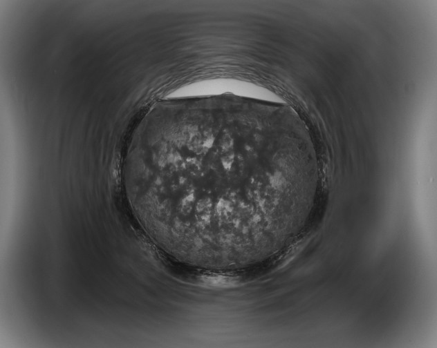 X0000087410561200705041250