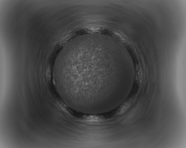 X0000087410562200705041250