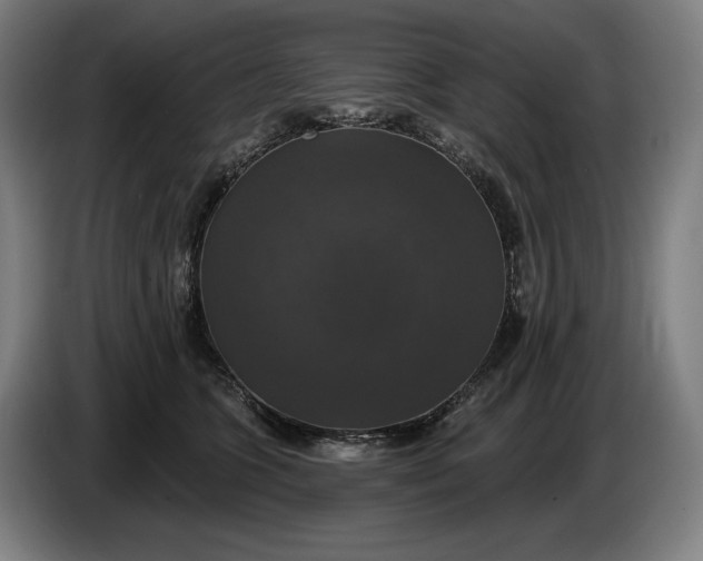 X0000087410563200705041250