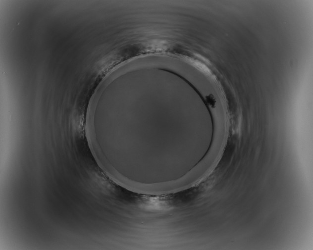 X0000087410564200705041250