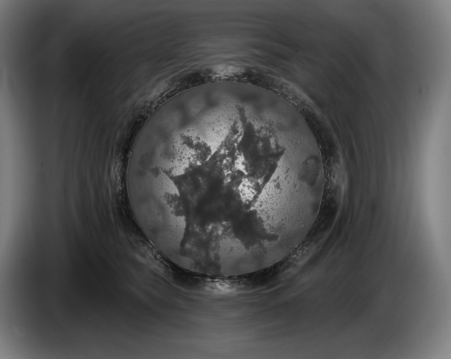 X0000087410565200705041250