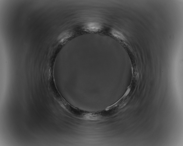 X0000087410568200705041250