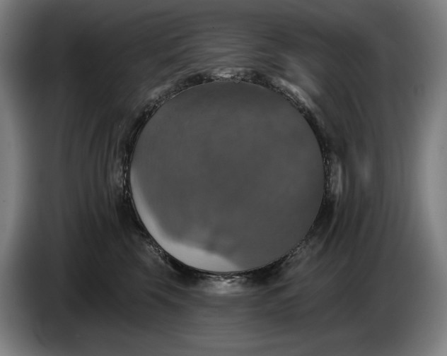 X0000087410569200705041250