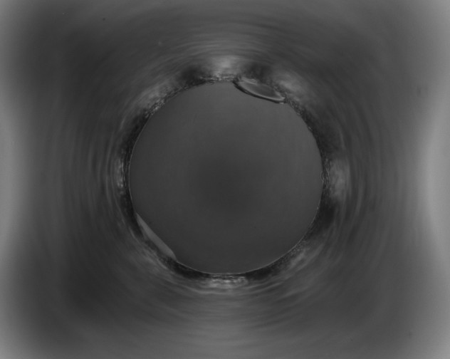 X0000087410571200705041250