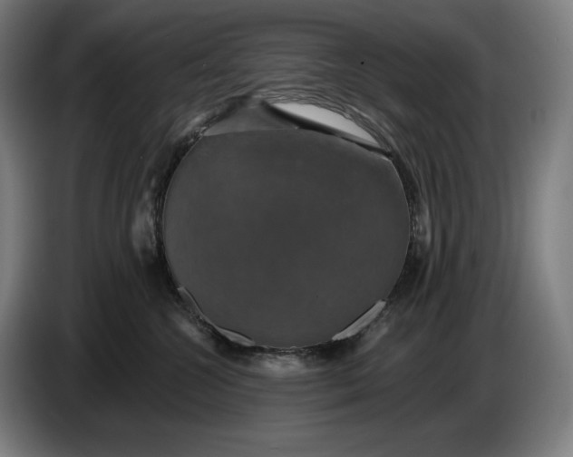 X0000087410572200705041250