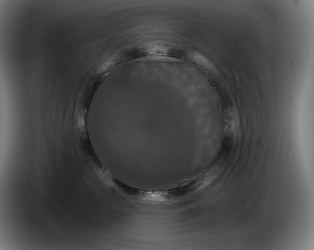 X0000087410573200705041250