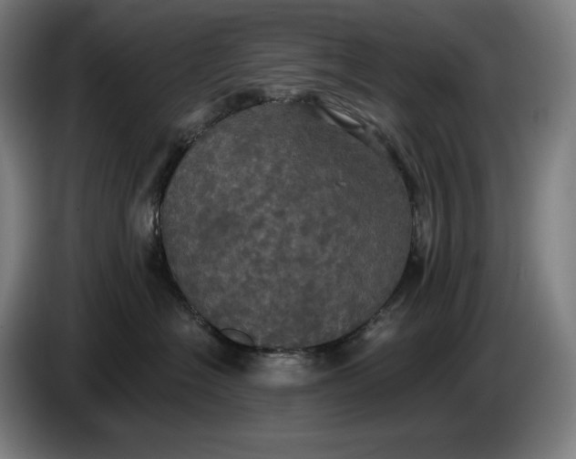 X0000087410574200705041250