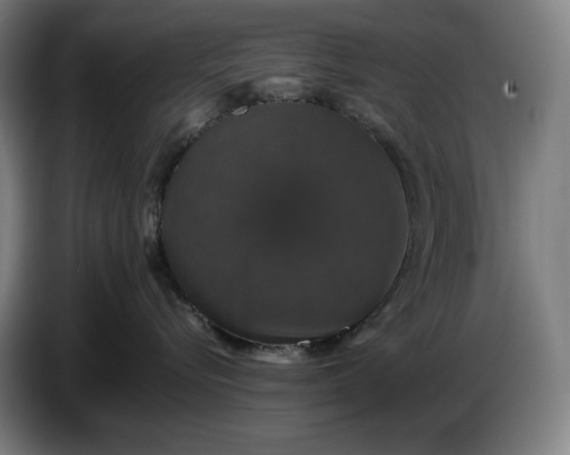 X0000087410576200705041250