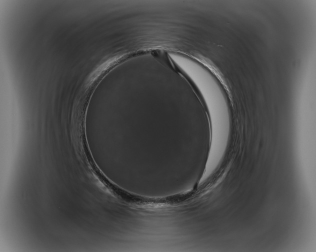 X0000087410577200705041250