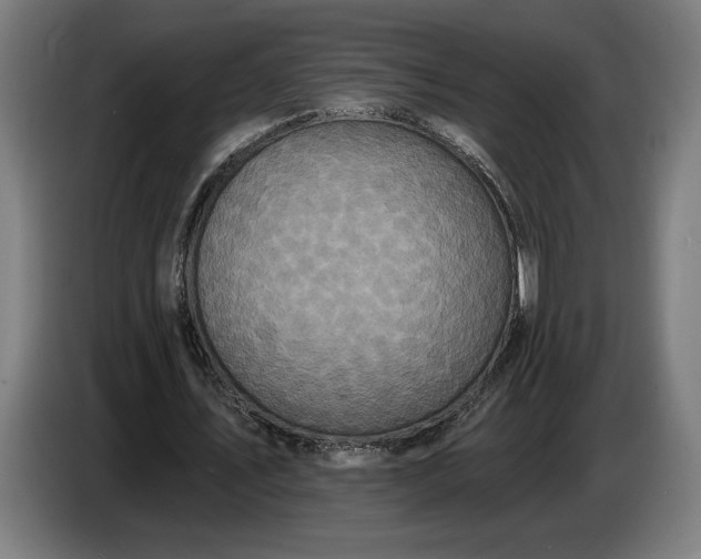 X0000087410579200705041249