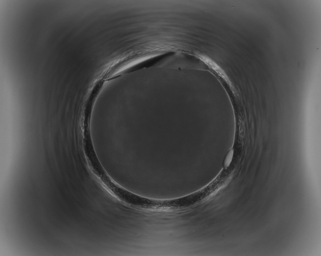 X0000087410581200705041249