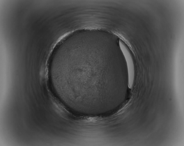 X0000087410584200705041249