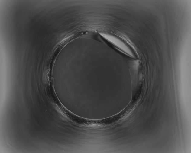 X0000087410585200705041249