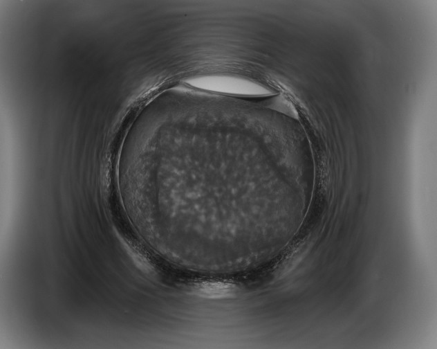 X0000087410586200705041249