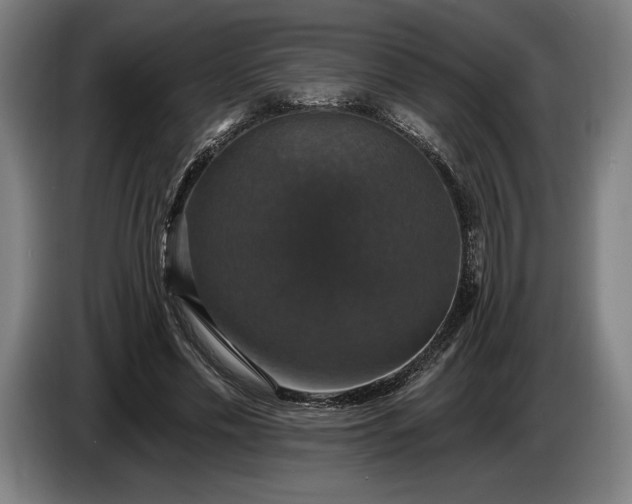 X0000087410589200705041249