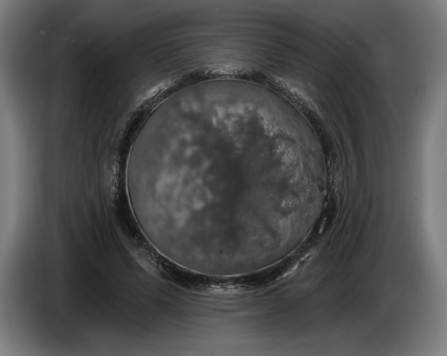 X0000087410591200705041249