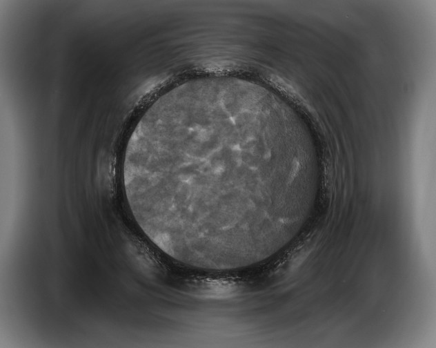 X0000087410592200705041249