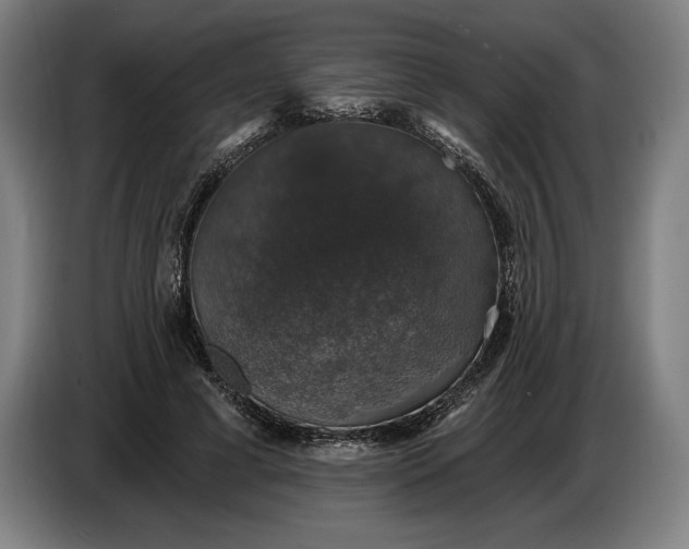 X0000087410593200705041249