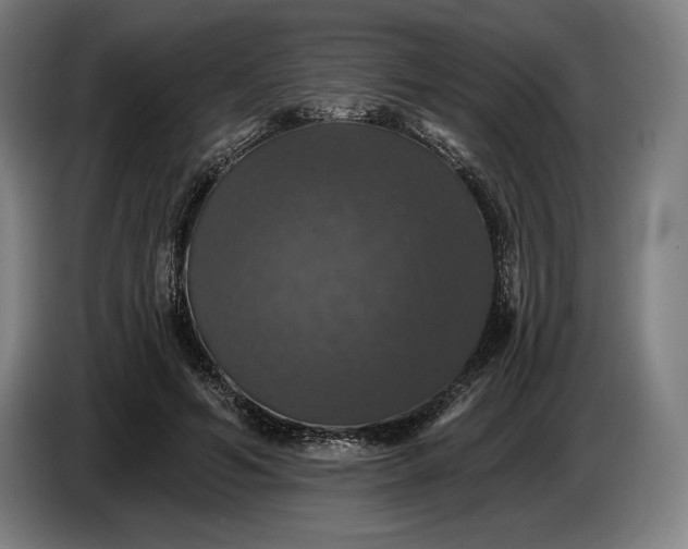 X0000087410594200705041249