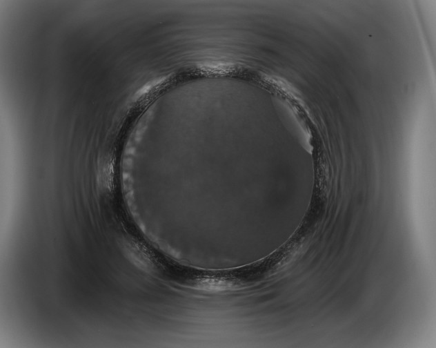 X0000087410596200705041249